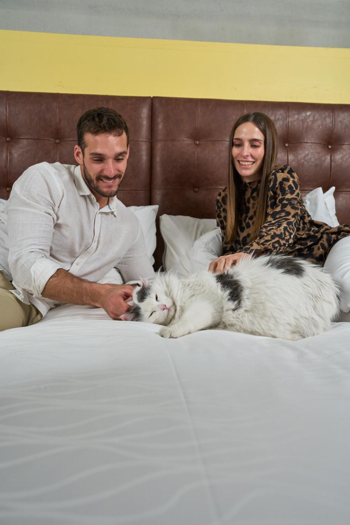 Pullman Santiago El Bosque Hotel Luaran gambar A cat with its owners
